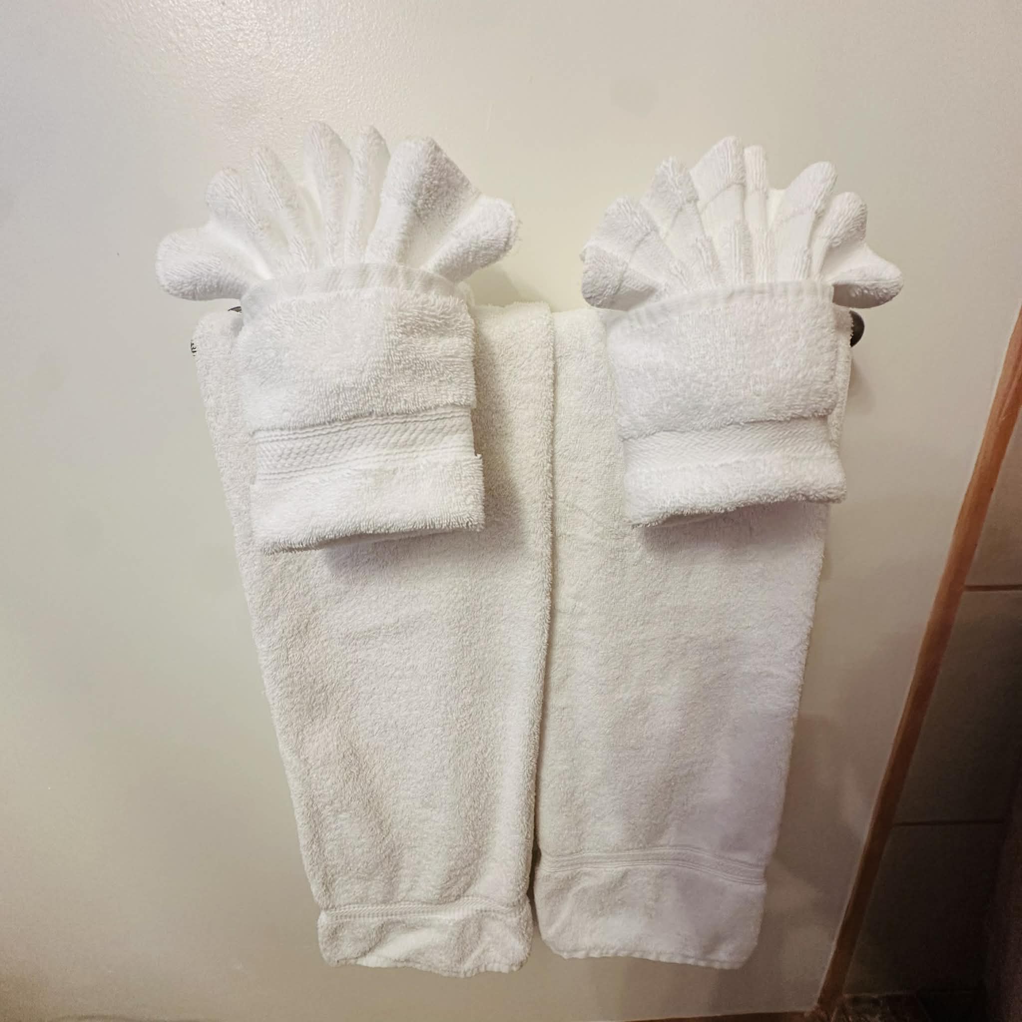 03e5cc55-d657-458a-bf8f-27530c6db244